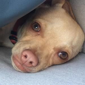 Meet your Posher, Gina